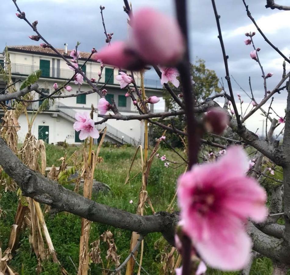 Casa Rosario Daire Riposto Dış mekan fotoğraf